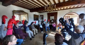 emeis chateau de villeniard boxe