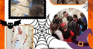 les chardons bleus halloween