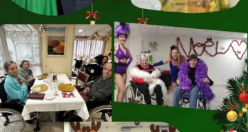 les chardons bleus noel