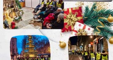 emeis chardons bleus illuminations emeis chardons bleus illuminations