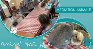les oliviers animale
