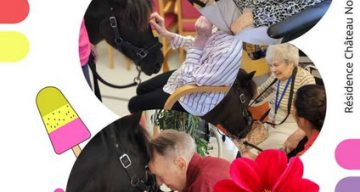 chateau nodet equitherapie