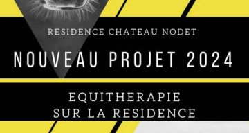chateau nodet projet