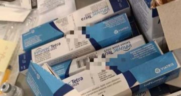 chateau nodet vaccination