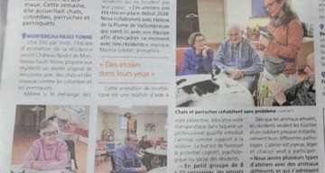 emeis chateau nodet journal