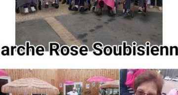 le vigé rose