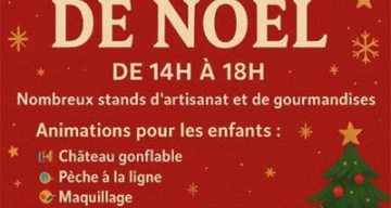 emeis le vige noel
