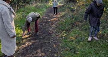 emeis renouard chataignes emeis renouard chataignes