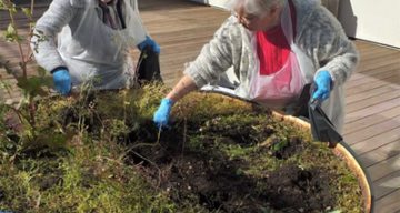 les jardins de pauline jardins