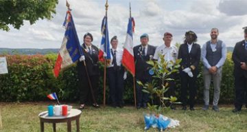 les millesimes ceremonie