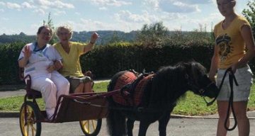 les millesimes cheval
