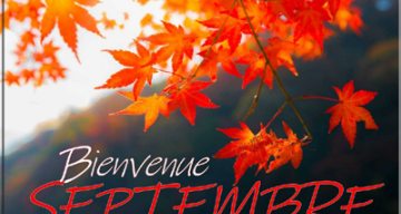 val de seine septembre 2023