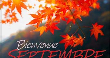 val de seine septembre 2024