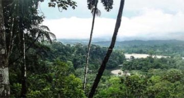 emeis les rives saint nicolas amazonie emeis les rives saint nicolas amazonie