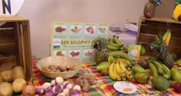 emeis les rives saint nicolas degustation