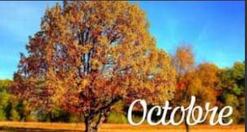 emeis la garenne octobre