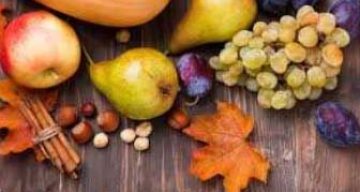 emeis la garenne septembre