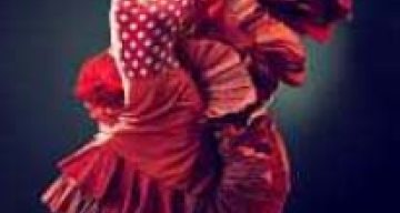 emeis senatorerie flamenco