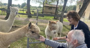 Le verger d'Anna lama