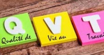 emeis verger danna inm