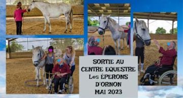 Relais des sens equestre