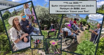 Relais des sens sortie