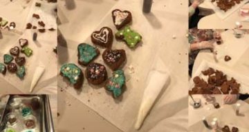 emeis la saule hiver