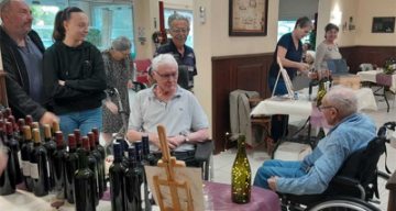 les vignes vins