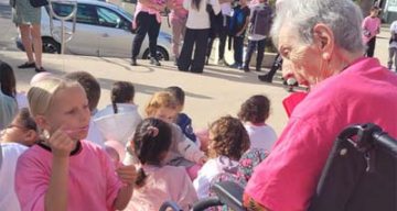 emeis jardins du mazet rose emeis jardins du mazet rose