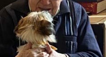 la reine des près animale