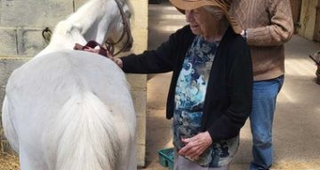 la reine des près equitherapie