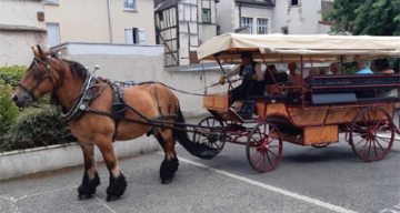 Les Mariniers caleche