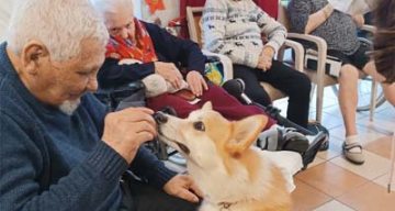 emeis europe animale emeis europe animale