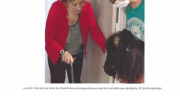 emeis saint joseph equitherapie