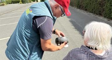 emeis les cotonnieres boules
