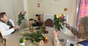 emeis les cotonnieres floral