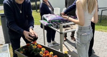 emeis les cotonnieres jardinage