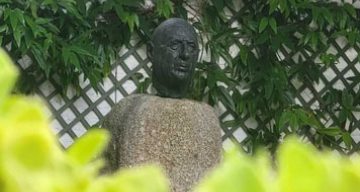emeis les cotonnieres musee