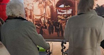 emeis les cotonnieres visite