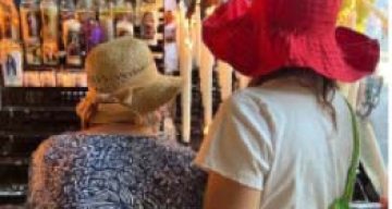 emeis orthezia juillet emeis orthezia juillet