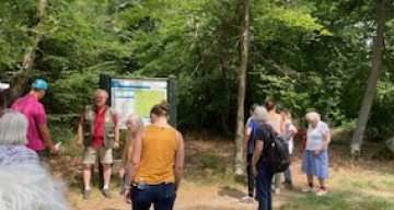 le village foret