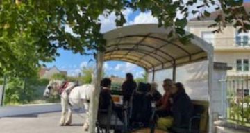 emeis le village caleche