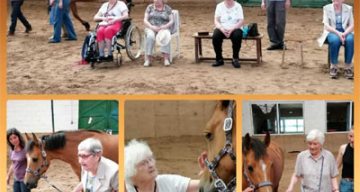 les jardins du lac equitherapie