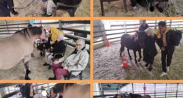 emeis jardins du lac arse