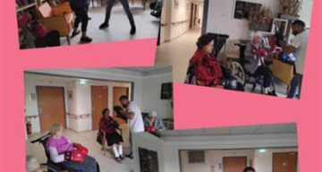 emeis jardins du lac boxe