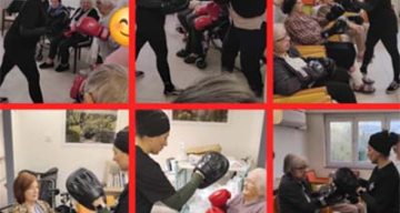 emeis jardins du lac boxe