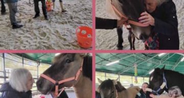 emeis jardins du lac equitherapie emeis jardins du lac equitherapie