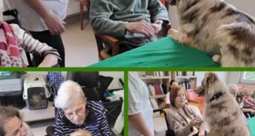 emeis jardins du lac mediation