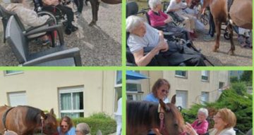 emeis jardins du lac opaline emeis jardins du lac opaline