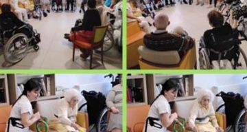 emeis jardins du lac renforcement